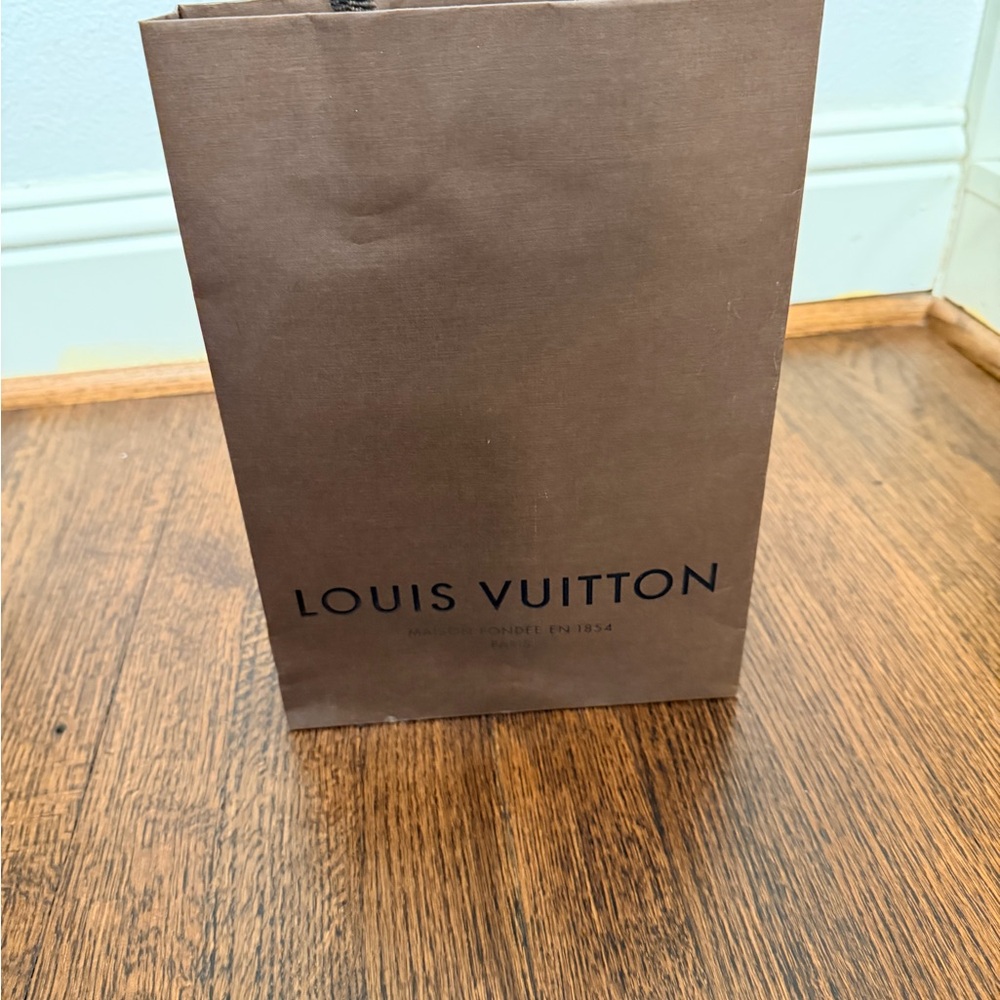 Authentic Louis Vuitton shopping bag from an LV boutique